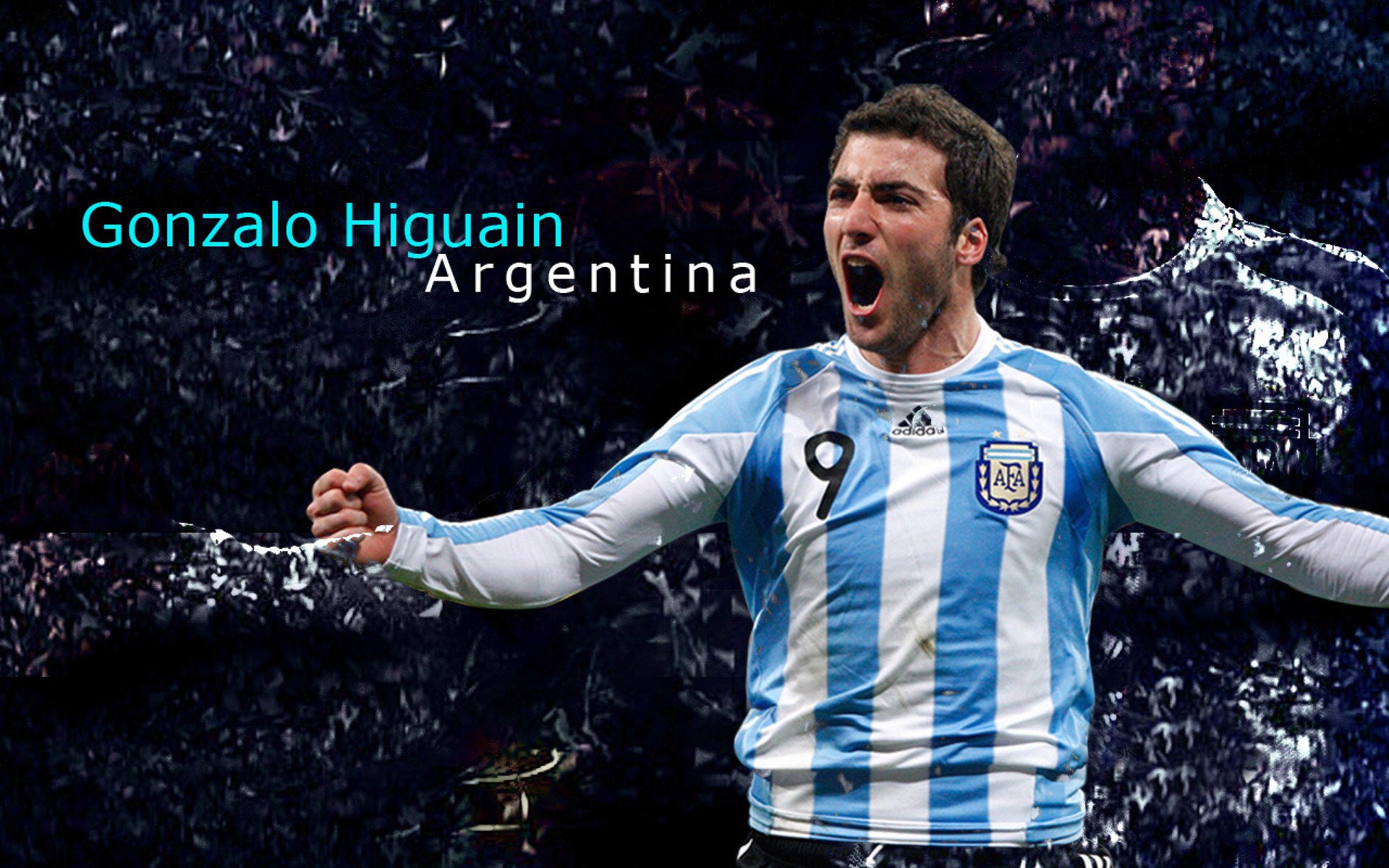 中国跳水队再创辉煌，包揽世界杯三金彰显霸主地位